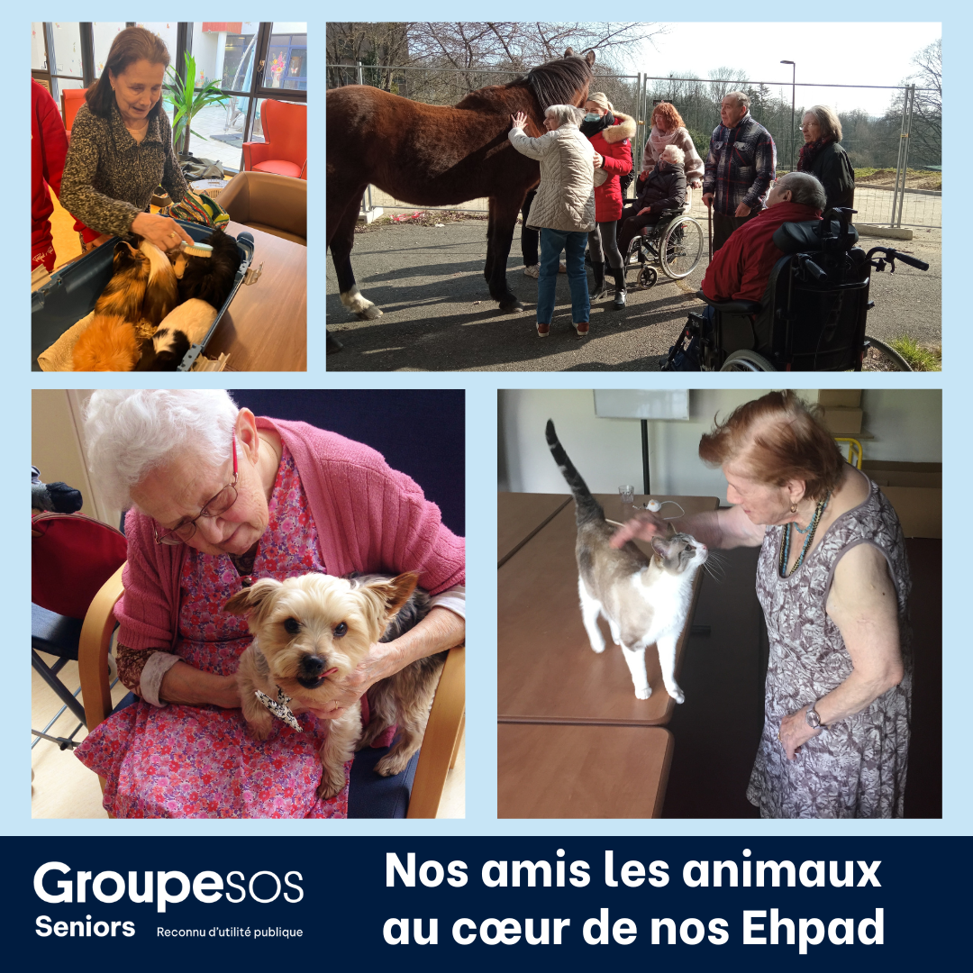 Nos amis les animaux aux cœur de nos Ehpad