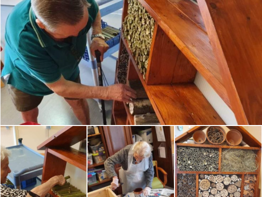 Un hôtel à insectes à l'EHPAD Le Lien