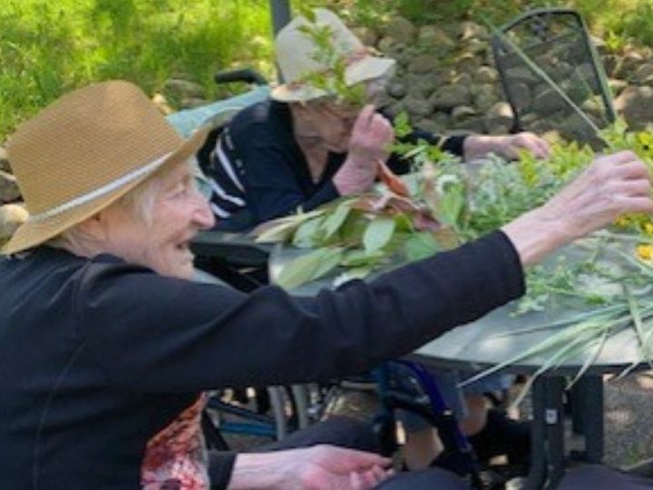 Les deux associations Groupe SOS Seniors et ARPAVIE s’unissent -Une nouvelle page s’ouvre au service de la personne âgée !