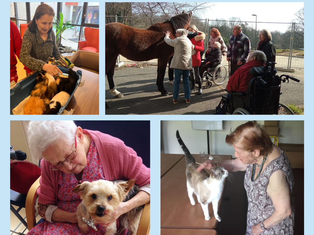 Nos amis les animaux aux cœur de nos Ehpad