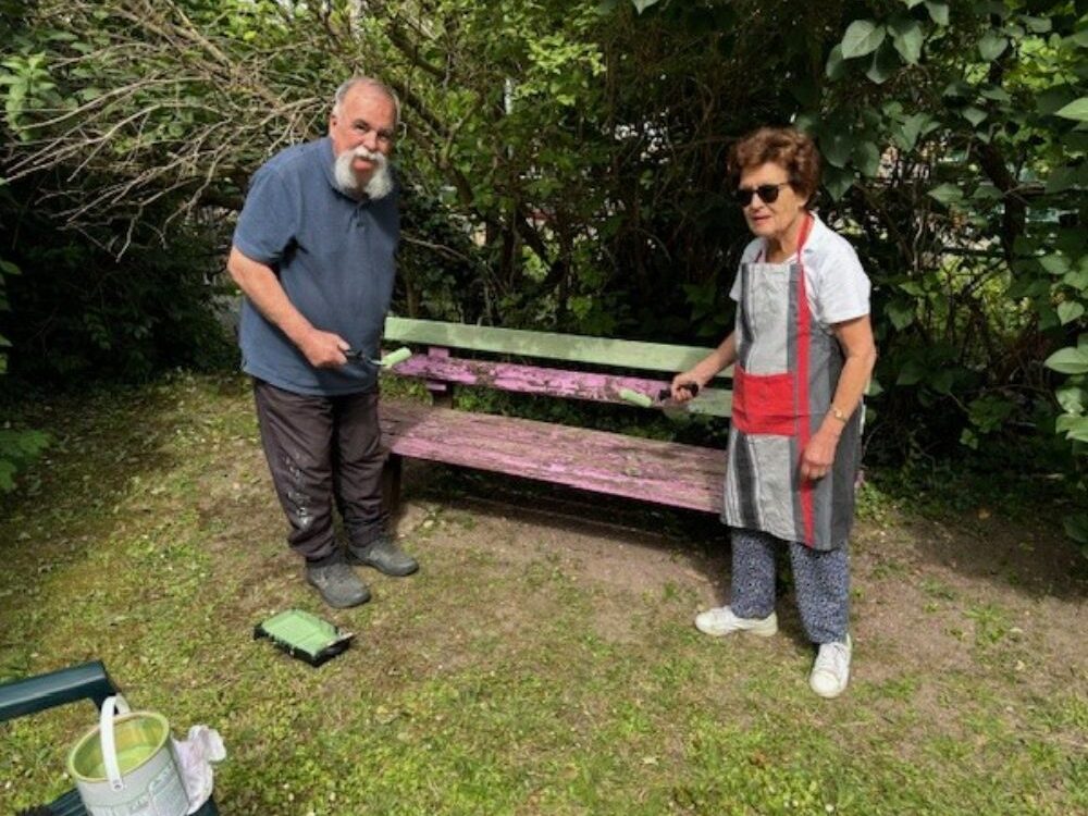 Beauté du jardin 🎍