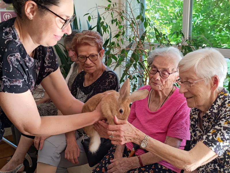 L'arrivée de Milou et de Tintin à l'Ehpad🐇