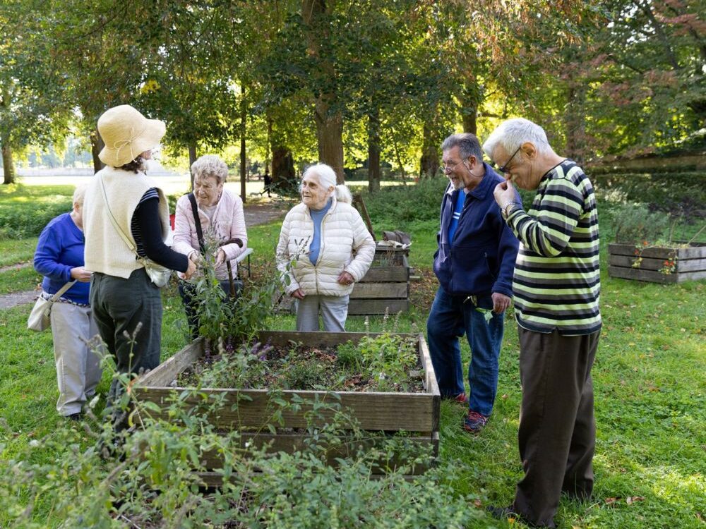 Quand les résidents cultivent… leur bien-être 🤗