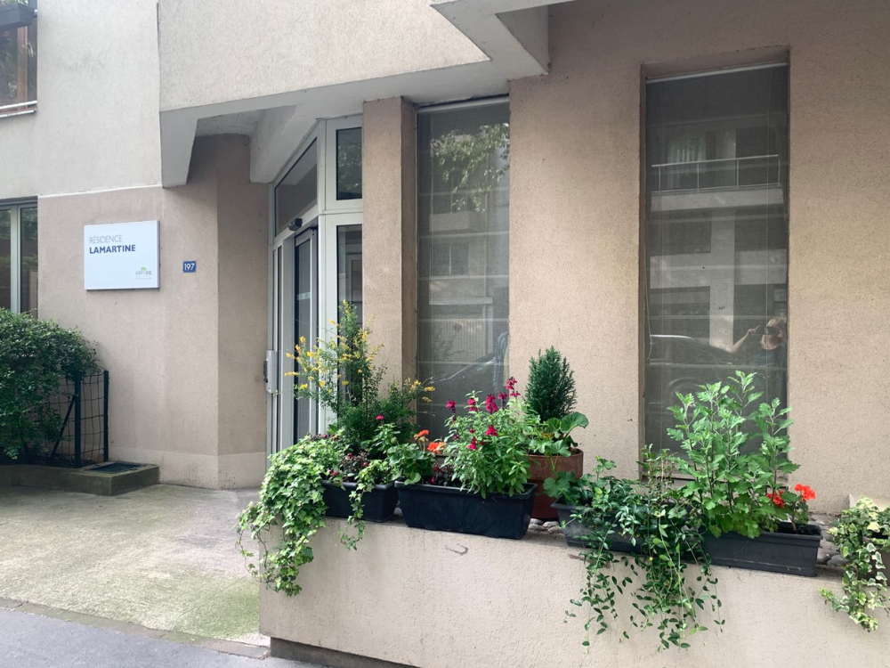 Nouveau jardin thérapeutique 🪴