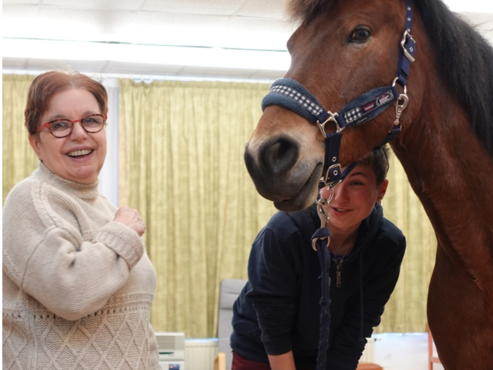 Première session de médiation équine 🐴