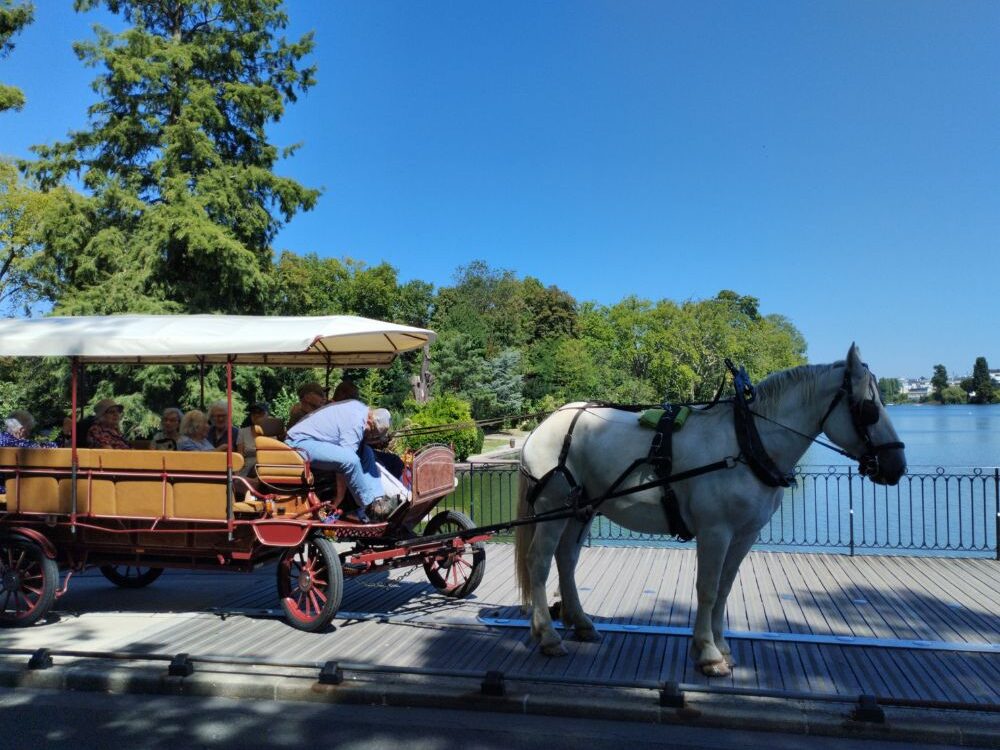 Un tour en calèche pour les résidents d’Enghien