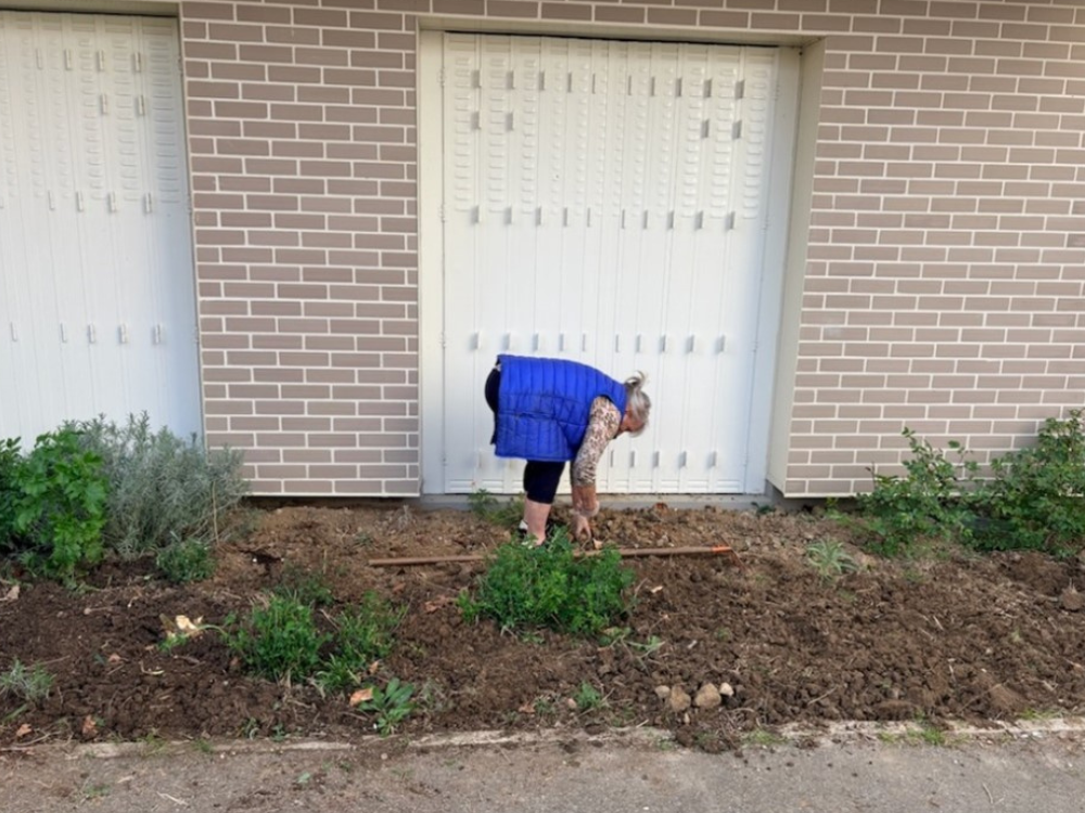 Quand le jardin reprend vie🧑‍🌾