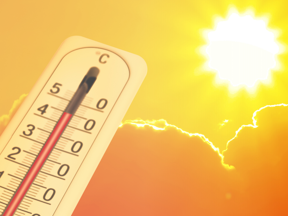 Canicule dans le sud de la France : nos équipes restent mobilisées ☀️