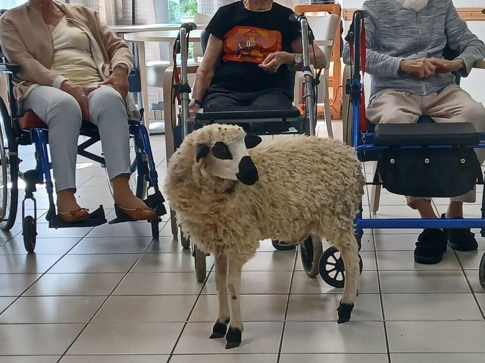 La Semaine Bleue : des animaux, de la musique et de la détente à la résidence La Poésie🤩