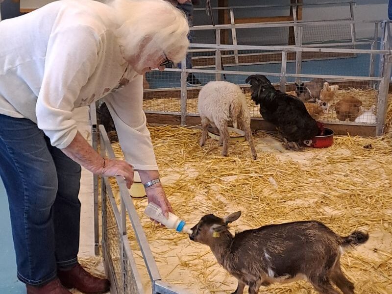 La ferme s’invite à la résidence Madeleine Wagner🐐